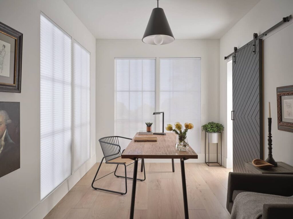 Hunter Douglas Duette Shades