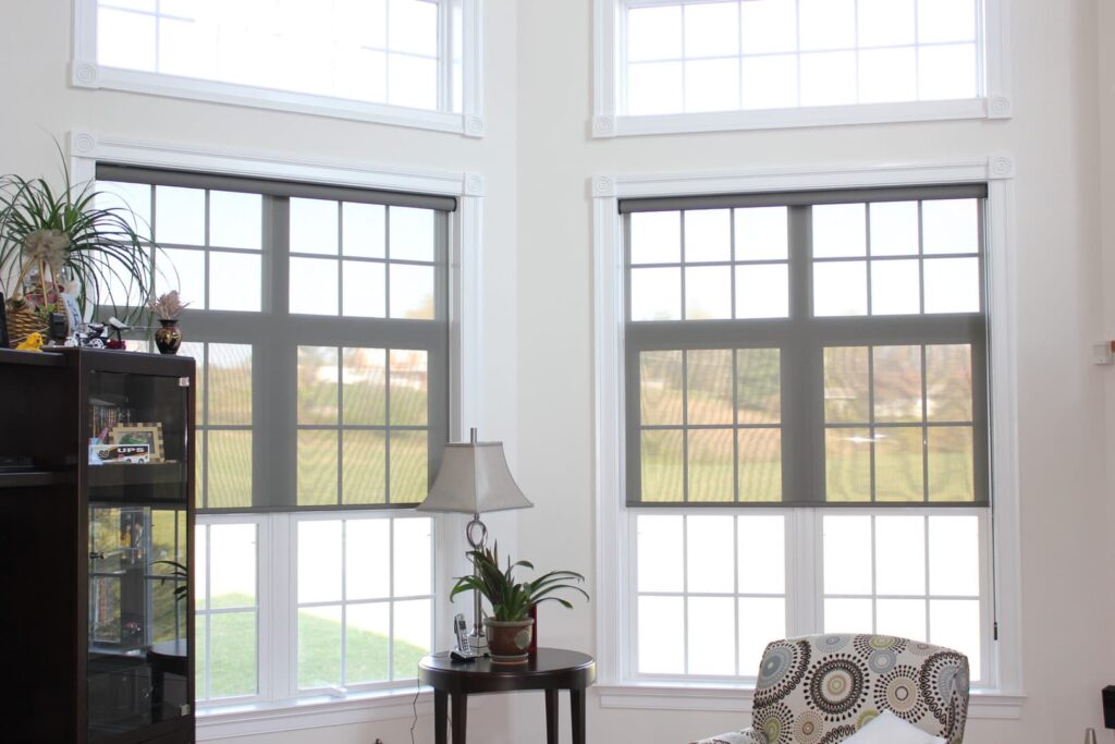 Hunter Douglas Screen Shades