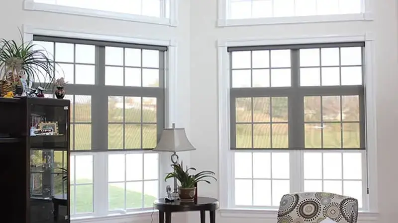 roller shades on living room windows